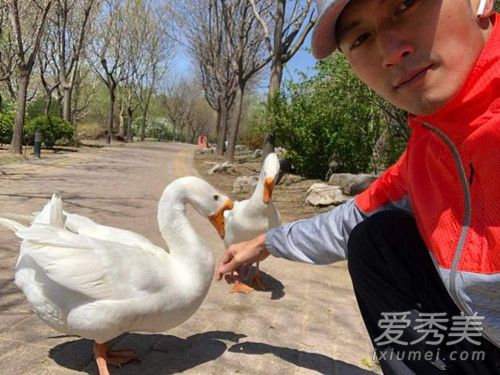 谢霆锋晒与鹅自拍是怎么回事 谢霆锋容祖儿什么关系