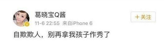 张雨绮老公前妻是谁资料照片 张雨绮遭继女生母炮轰作秀