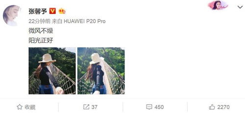 张馨予再晒牵手照是怎么回事 张馨予新男友是谁