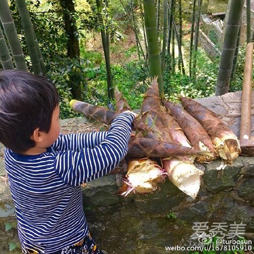 劳动最光荣！孙俪带儿女赴山里踏青劳作