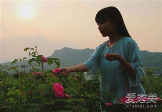 李子柒身世天涯 李子柒是四川绵阳哪里的