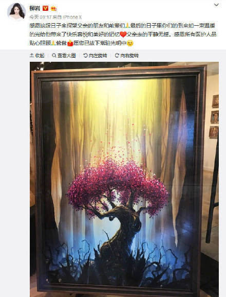 柳岩父亲去世是怎么回事 柳岩父亲因什么病去世