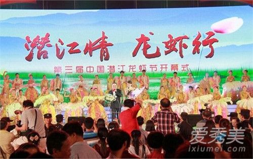 潜江龙虾节2017开幕式 第八届湖北潜江龙虾节开幕式