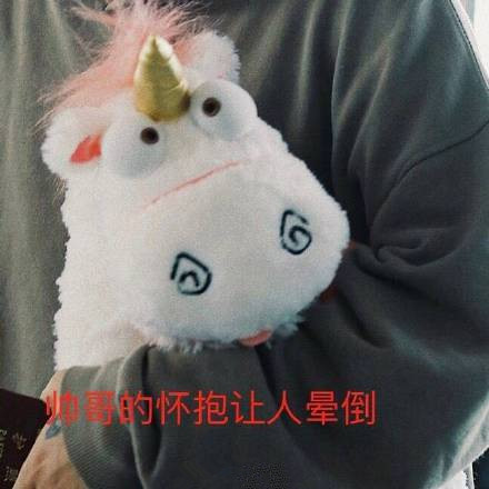 范丞丞抱独角兽是怎么回事 范丞丞同款独角兽多少钱