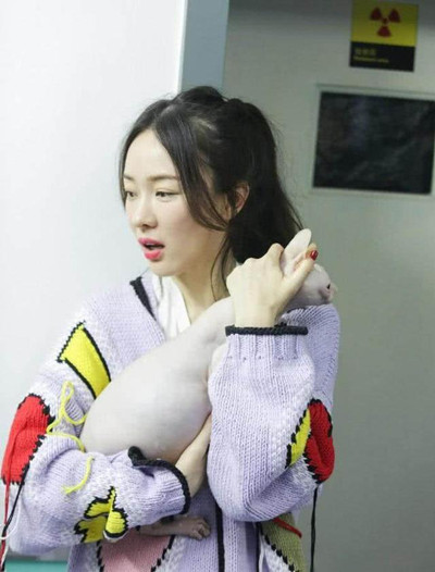 霍思燕家的猫什么品种 无毛猫价格多少