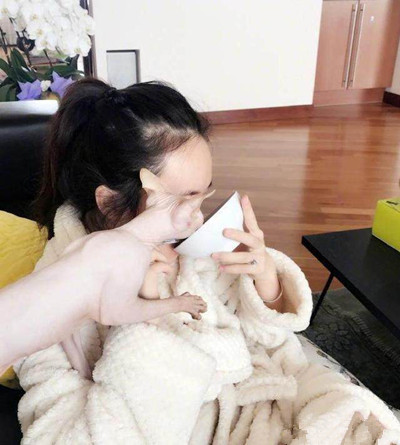 霍思燕家的猫什么品种 无毛猫价格多少