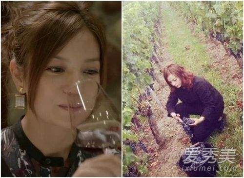 赵薇酒庄举办晚宴是怎么回事 赵薇的酒庄叫什么名字