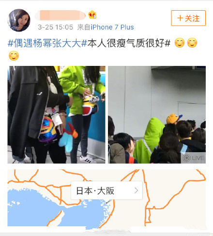 偶遇杨幂张大大同游日本是怎么回事