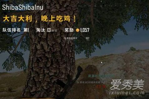 王思聪吃鸡掉线 主播帮挡子弹顺利吃鸡