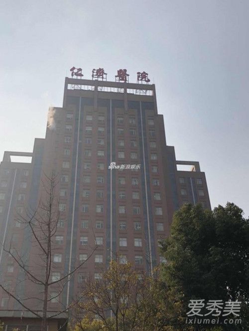 谢娜双胞胎女儿在哪生的 谢娜住院费用曝光