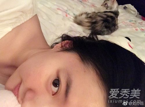 刘亦菲素颜撸猫气色红润 刘亦菲分手后首曝光