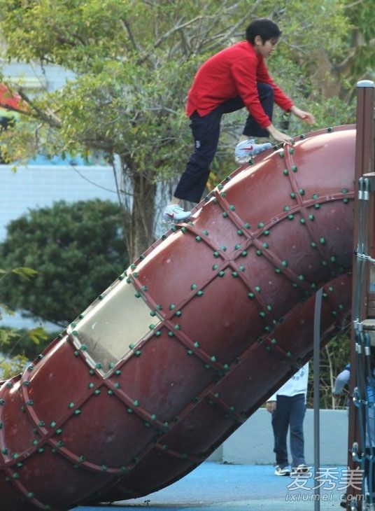袁咏仪素颜接儿子放学显苍老 袁咏仪儿子叫什么