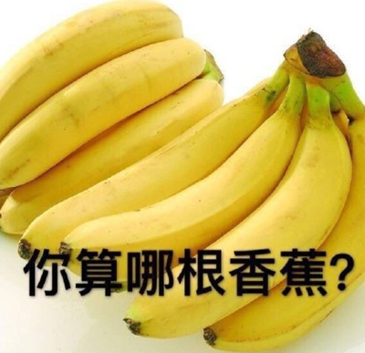 你算哪块小饼干是什么意思？