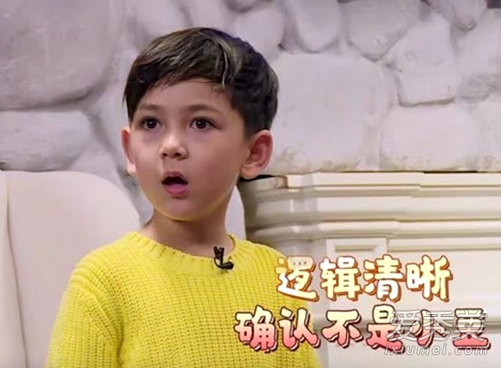 萌宠小大人泰勒父母是谁个人资料介绍