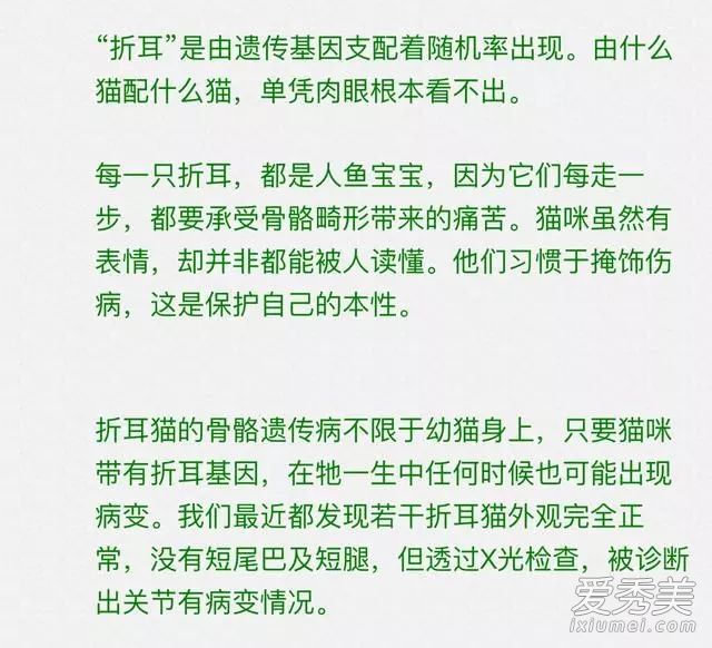 倪妮工作室发声明:否认虐猫纯属恶意诽谤