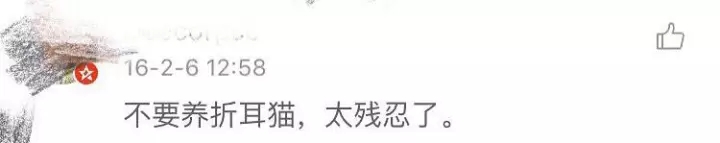 倪妮工作室发声明:否认虐猫纯属恶意诽谤
