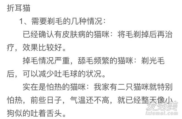 倪妮工作室发声明:否认虐猫纯属恶意诽谤