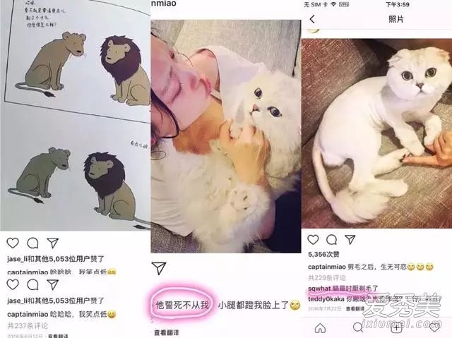 倪妮工作室发声明:否认虐猫纯属恶意诽谤