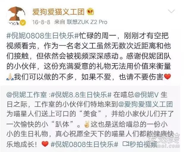 倪妮工作室发声明:否认虐猫纯属恶意诽谤