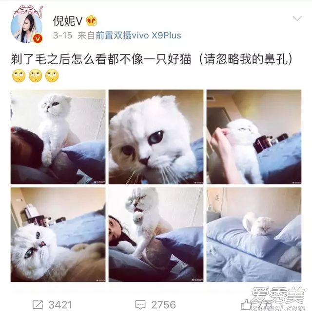 倪妮工作室发声明:否认虐猫纯属恶意诽谤