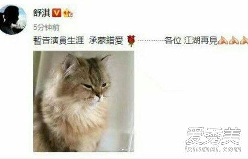 舒淇深夜发文暂别娱乐圈 原因让人吃惊