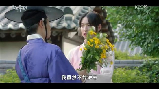 绿豆传蒲公英为什么消失了 绿豆传寡妇村的秘密是什么