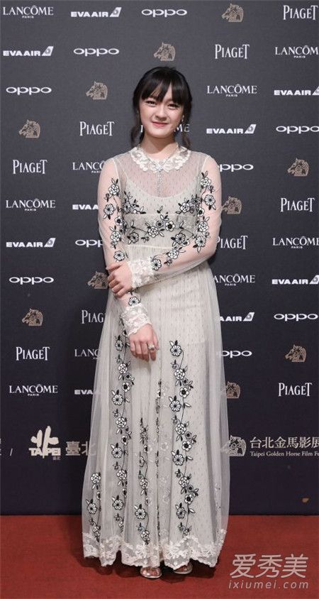 第54届金马奖获奖名单出炉 马思纯舒淇文淇众女星红毯争艳