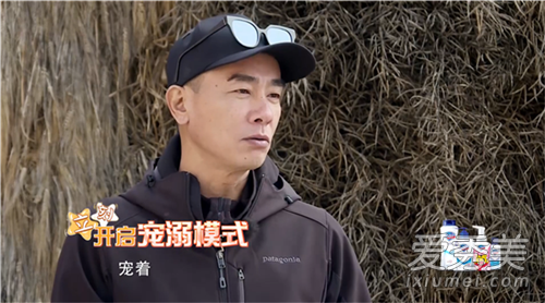 有希望？应采儿今年最新实现的梦想——怀孕