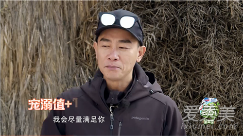 有希望？应采儿今年最新实现的梦想——怀孕