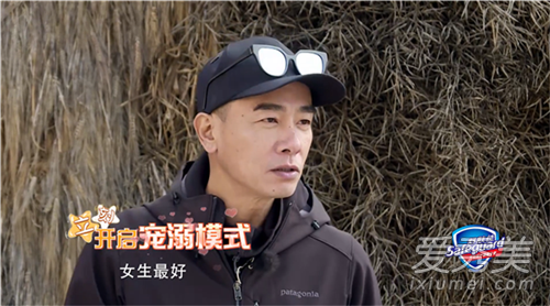 有希望？应采儿今年最新实现的梦想——怀孕