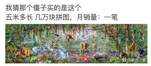 年度坑货!雷佳音送岳云鹏女儿几万块的拼图,这怕是拼不完