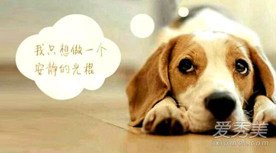 母胎solo这个词是什么意思？