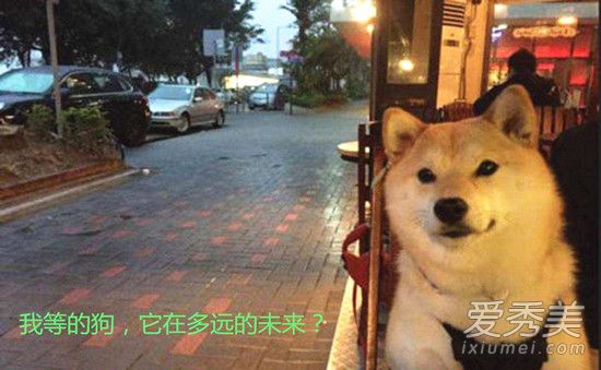 母胎solo这个词是什么意思？