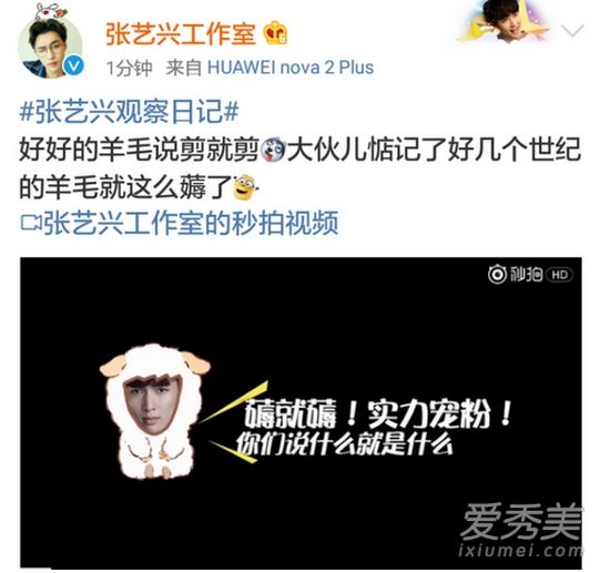张艺兴薅羊毛是什么意思 张艺兴最近在忙些什么