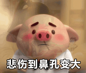 猪小屁无水印表情包 猪小屁gif表情包