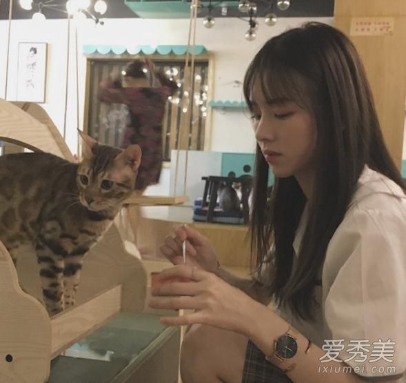 微博网红我又杀猪了是谁 我又杀猪了和王思聪什么关系