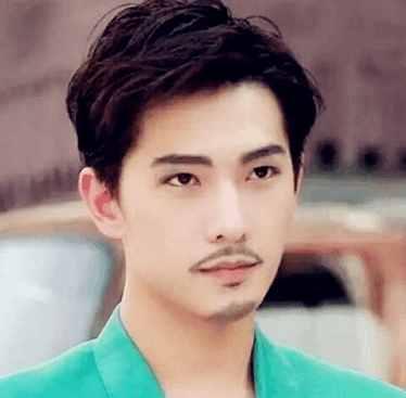 陈晓为什么留胡子 陈晓留胡子照片