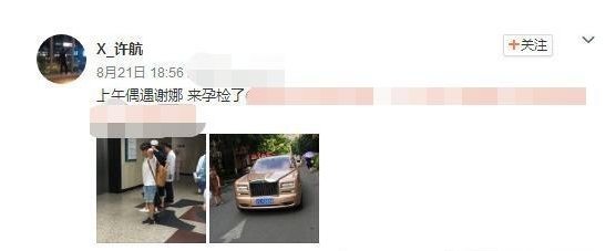 谢娜怀孕了是真的吗 谢娜张杰孕检图片