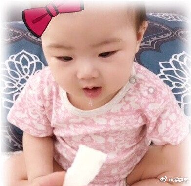 贺军翔女儿照片 贺军翔老婆照片个人资料