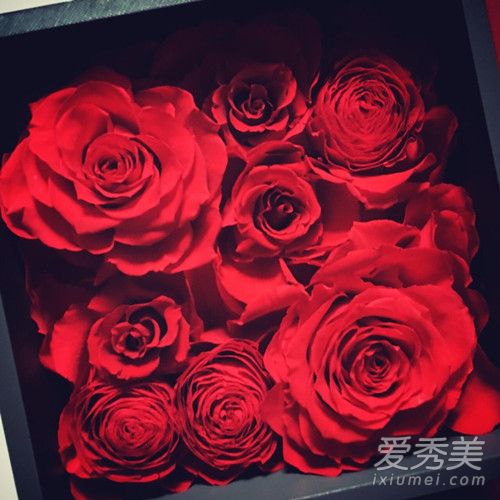 roseonly永生花可以保存多久 roseonly永生花多少钱