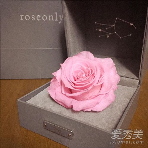 roseonly永生花可以保存多久 roseonly永生花多少钱