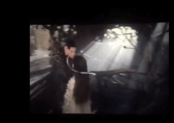 白夜夫妇是什么梗 白夜夫妇是什么意思
