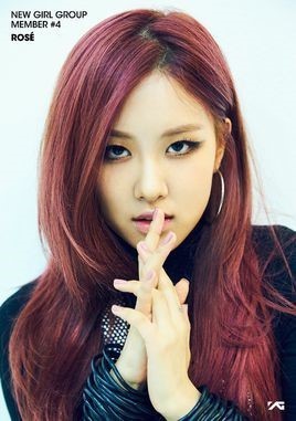 blackpink成员资料 揭秘YG女团blackpink出道背景