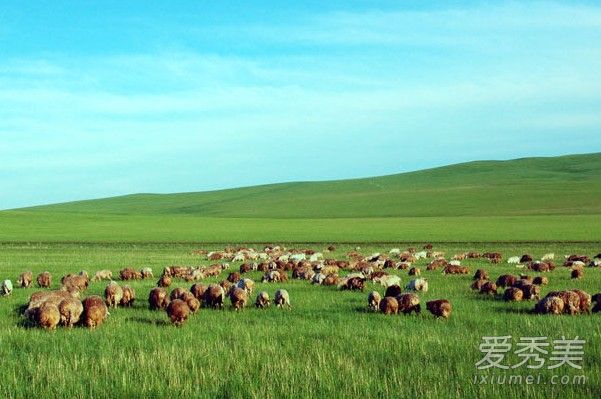 迪丽热巴为什么叫绿巴 迪丽热巴为什么叫驴巴