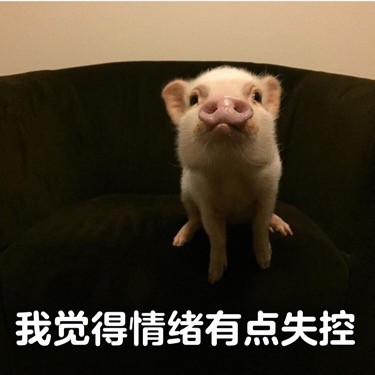 我觉得不行是什么梗?我觉得不行表情包无水印