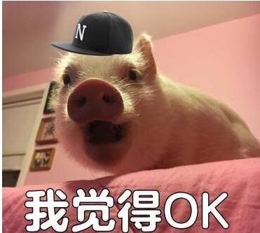 我觉得还行是什么梗 我觉得还行我觉得ok是什么意思