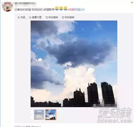 成都熊猫云图片 成都熊猫云视频在线观看