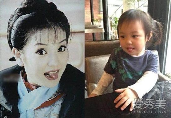 中餐厅赵薇妈妈侧颜精致 赵薇妈妈叫什么名字