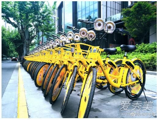 ofo小黄车周卡没有是怎么回事 ofo小黄车免费周卡领不到怎么
