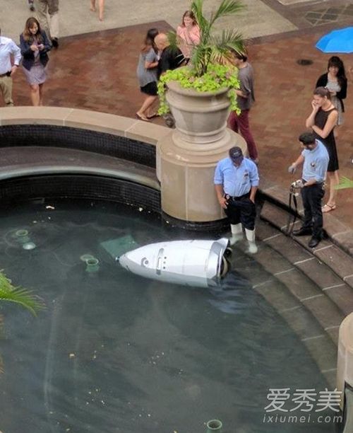 机器人投池自杀是怎么回事 机器人投池自杀现场图片